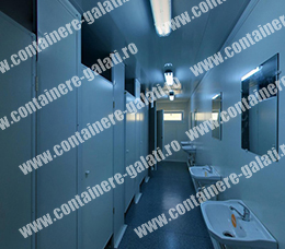 containere de vanzare Caras-Severin